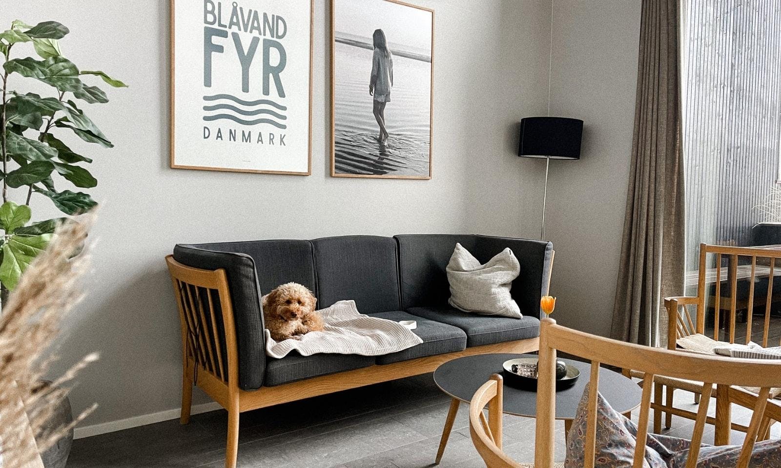 Ein hyggeliger Rückzugsort für Hunde