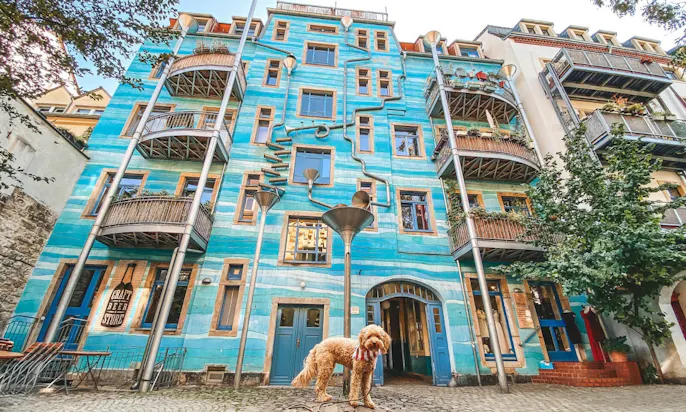 Kunsthofpassage mit Hund erkunden