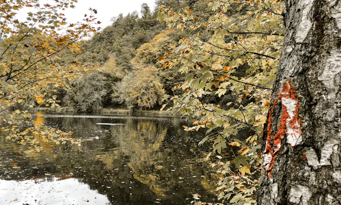Wandern um den Hengsteysee im Herbst