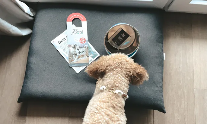 Hundefreundliche Hotels in Deutschland