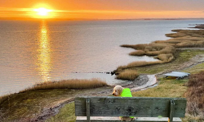 Sonnenaufgaufgang mit Hund auf Helneas Molle