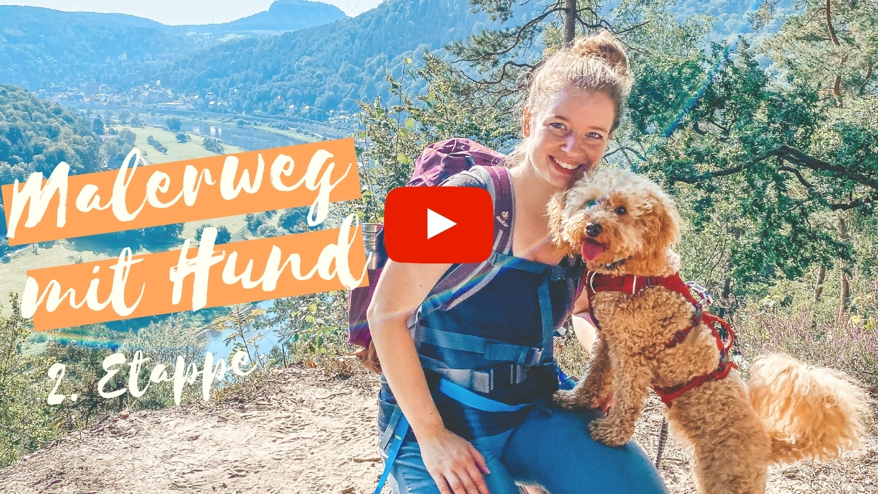 Image for youtube video with id ZRUi4vLBkrI