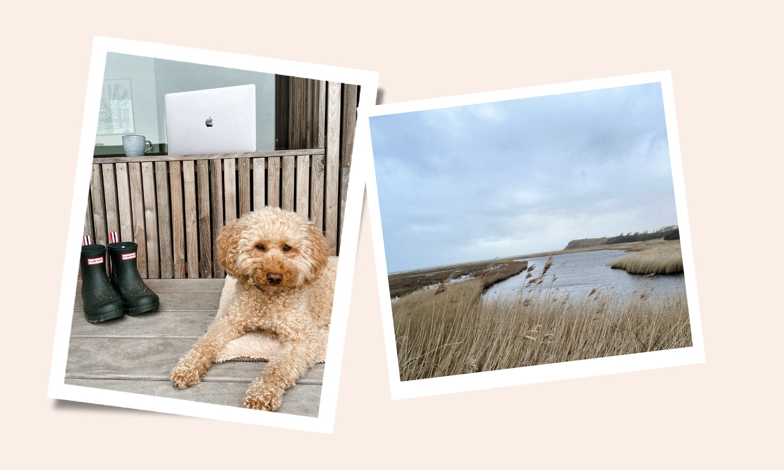 Geheimtipp: Workation mit Hund auf der idyllischen Insel Helnæs in Dänemark