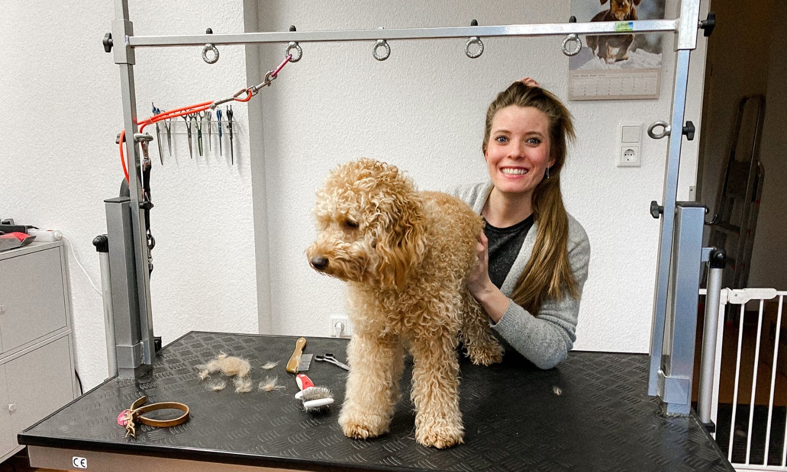 Hundefriseur Düsseldorf Bunter Hund