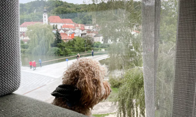 hundefreundliches Hotel in Eichstätt: IBB Hotel Altmühltal-Eichstätt