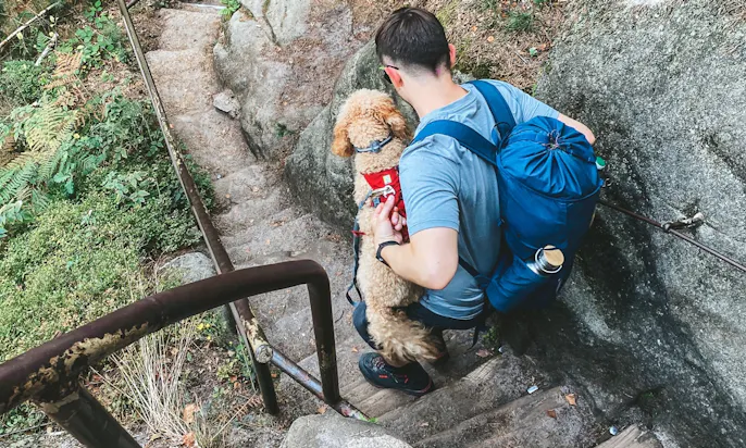 Trekking-Ausrüstung für Hunde