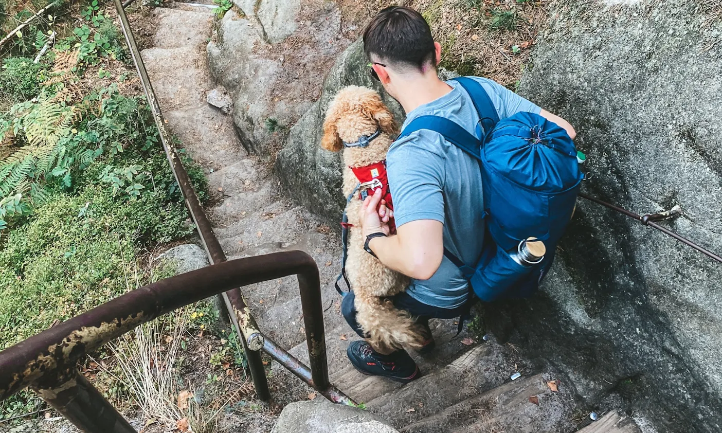 Wandern mit Hund: Ausrüstung Malerweg