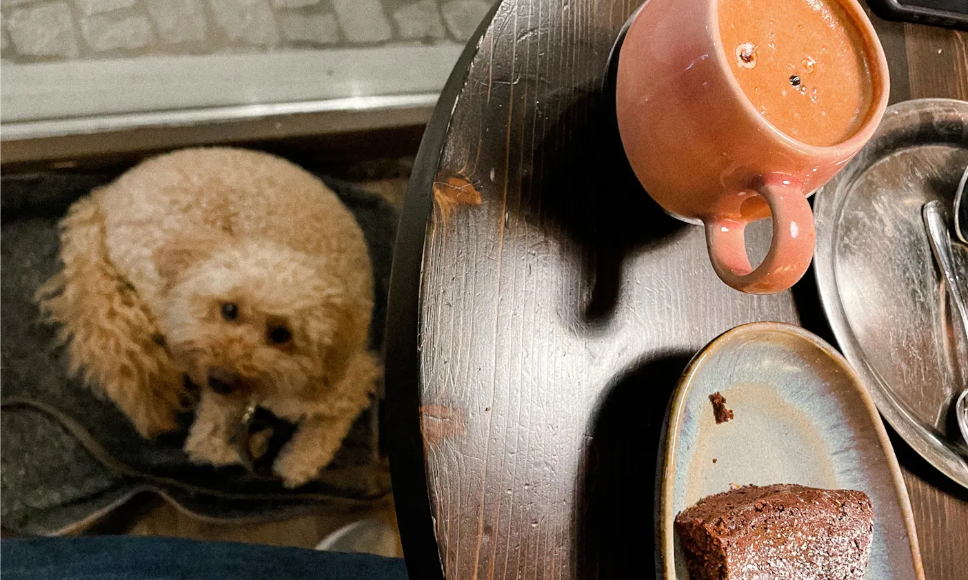 Café Chocolatique mit Hund in Eichstätt