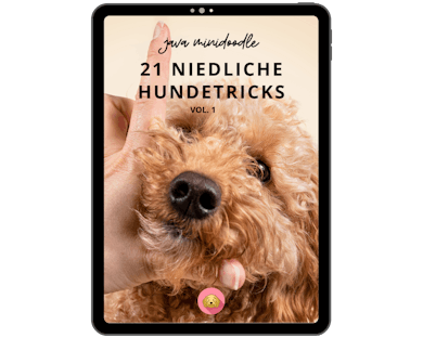 E-Book Cover: 21 niedliche Hundetricks