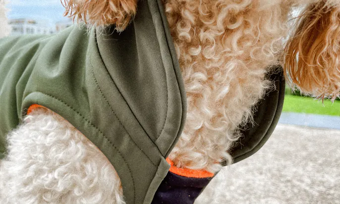 Sonderlänge für Regenmantel für Pudel, Dackel und Doodles