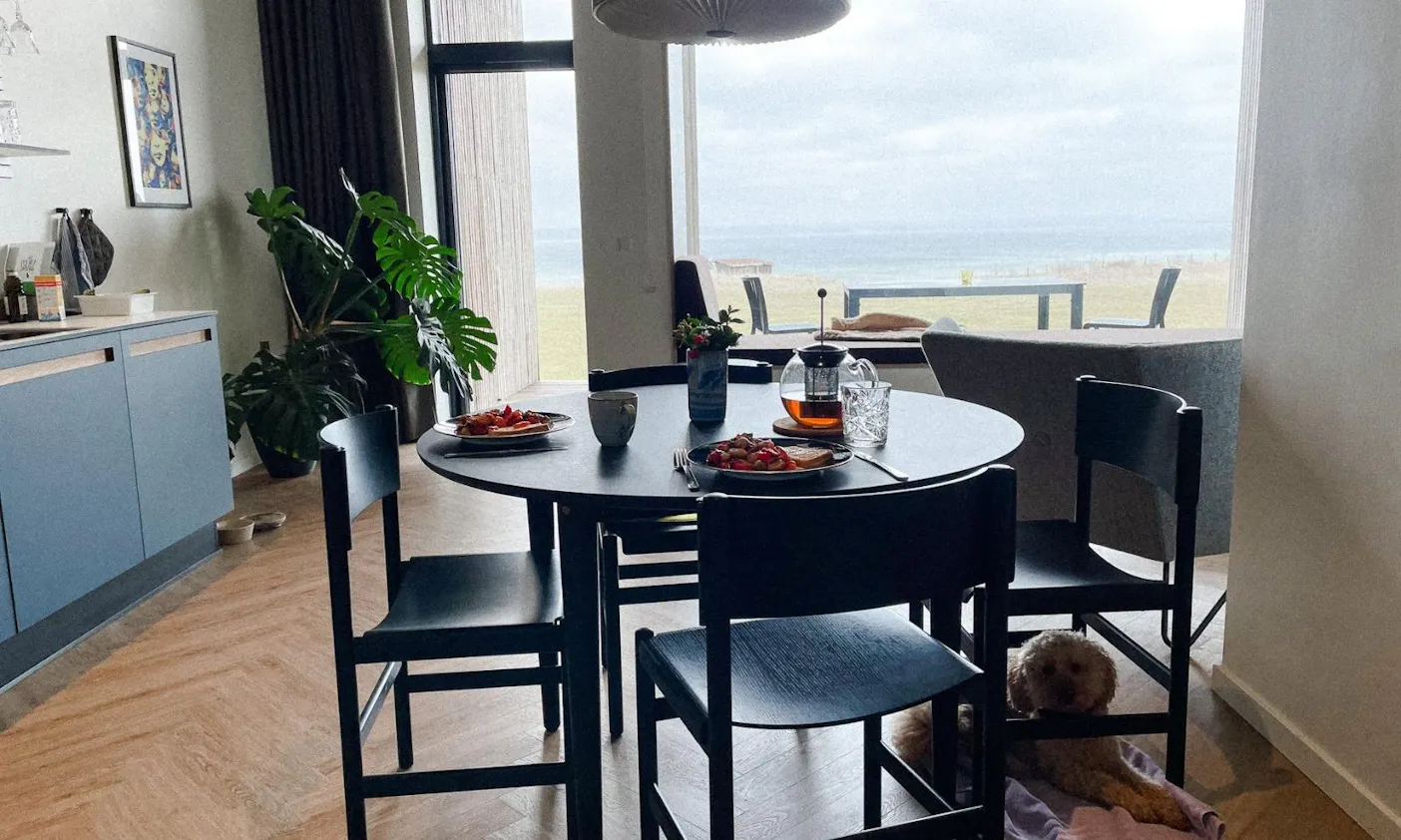 Helnæs Mølle mit Hund: Wohnzimmer von dem Haus Blahat