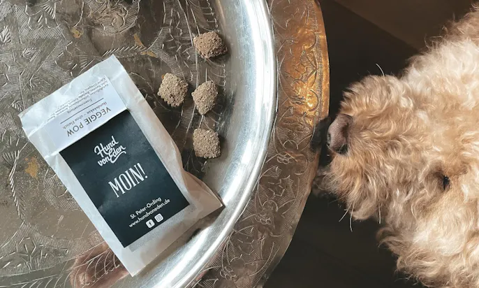 Hund schaut auf vegane Leckerlies von Hund von Eden