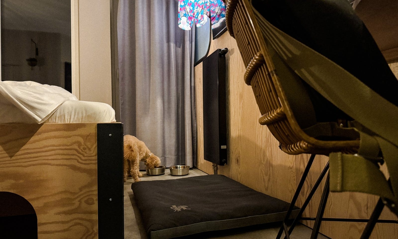 Hundeausstattung in den Heimathotels in der Bretterbude in Büsum