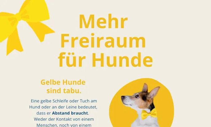 Infografik - Gelber Hund