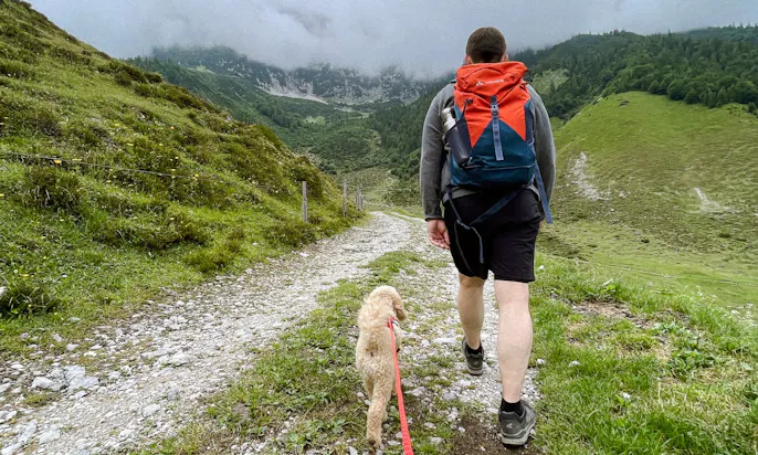 Ein Mann wandert mit einem Hund am Wildenkaiser in Tirol