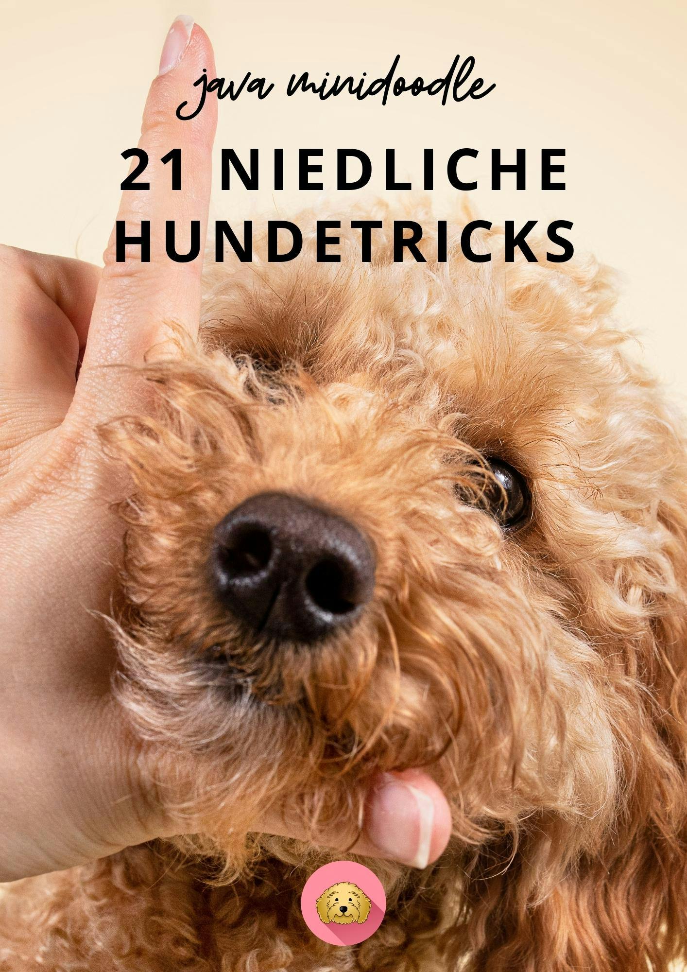 E-Book 21 niedliche Hundetricks - Cover