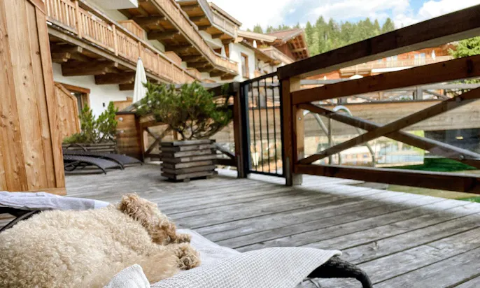 Hundefreundliches Hotel in Scheffau am Wilden Kaiser: Seesuite in der Kaiserlodge