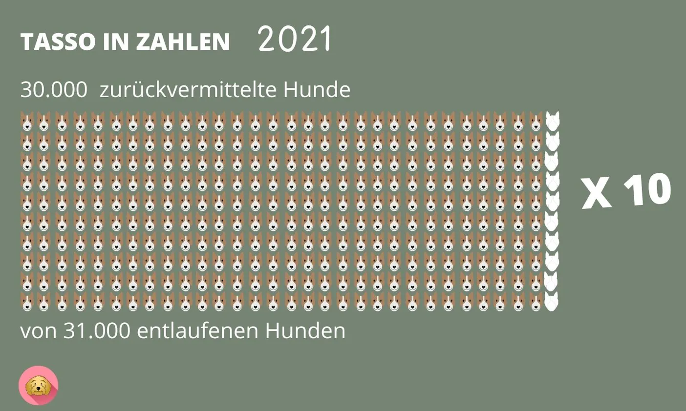 entlaufene und zurückvermittelte Hunde über TASSO 2021
