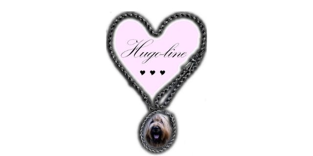 Logo Hugo-Line