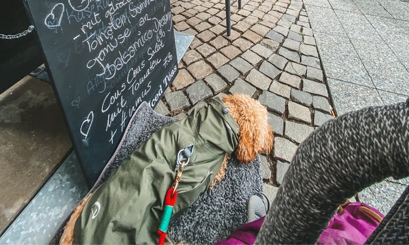 Hundefreundliche Restaurants in NRW