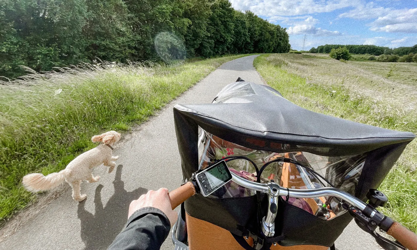 Lastenrad für Hunde von Babboe