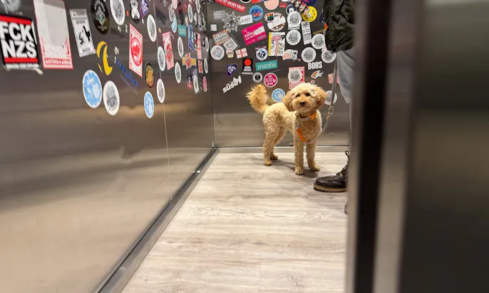 Mit Hund in der Bretterbude in Büsum