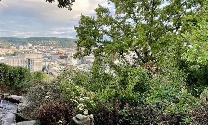 Chinesischer Garten mit Hund Ausblick