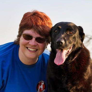 Gelbe Hunde brauchen Abstand: Interview mit Ramona Noack