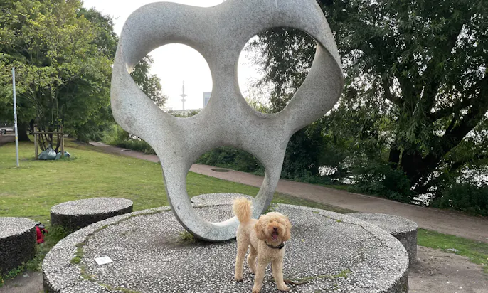 Hamburg mit Hund erkunden