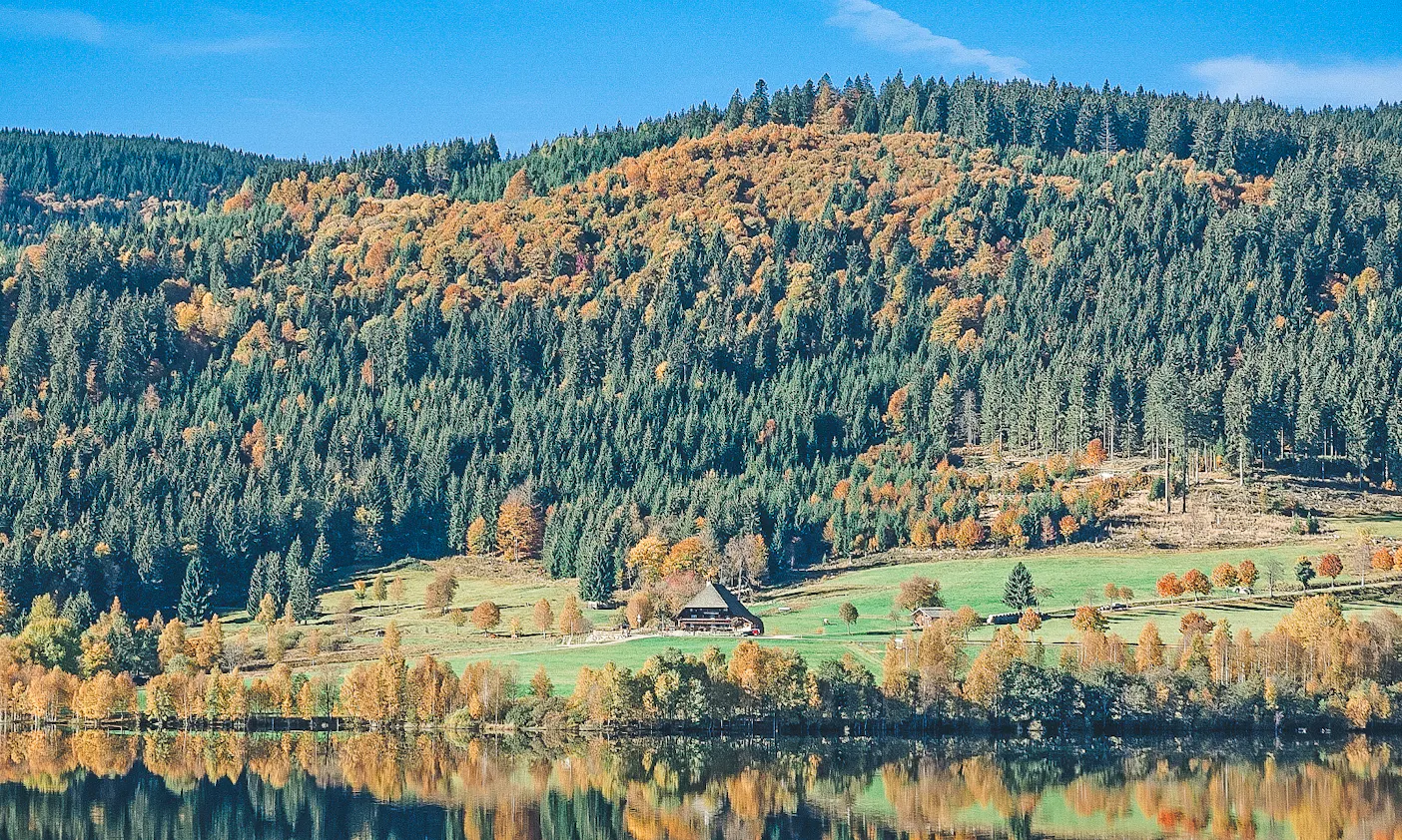 Schwarzwälder Schluchtensteig