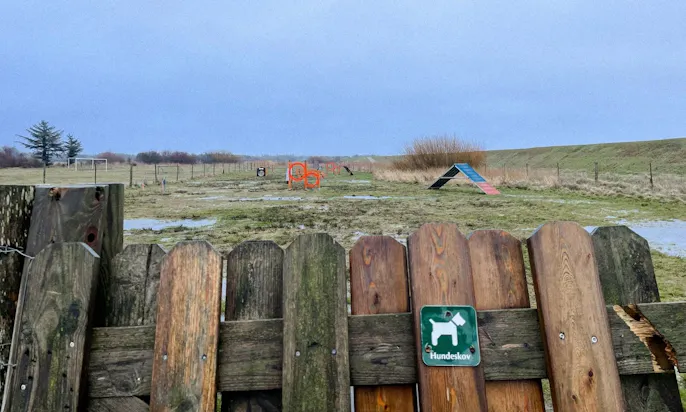 Agilityplatz in Blavand in Hvidbjerg Stran