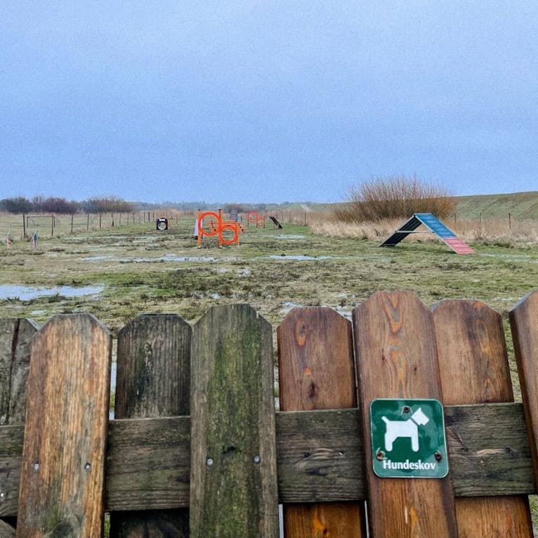 Agility-Platz für Hunde im Hvidbjerg Strand Feriepark