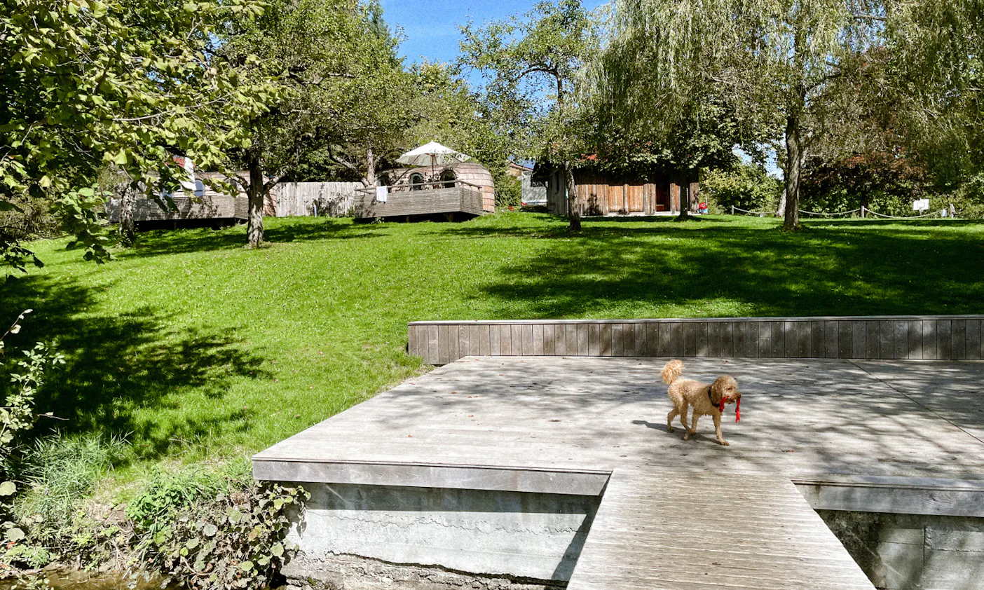 Glamping mit Hund in Deutschland im Iglucamping Allgäu-Bodensee