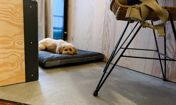 Hunderegeln im Hotel Bretterbude Büsum