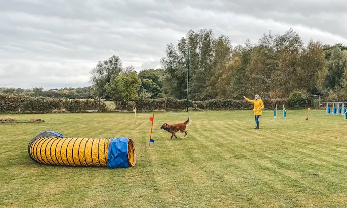Hundetrainerin Dana Thiemel Curving-Seminar