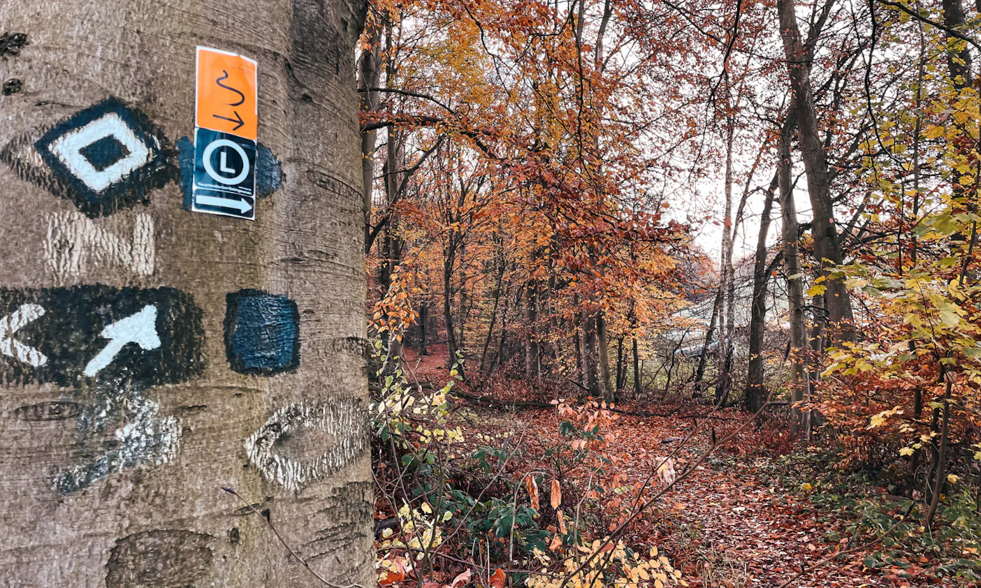 Bergischer Weg: Etappe: Von Düssel bis nach Gruiten