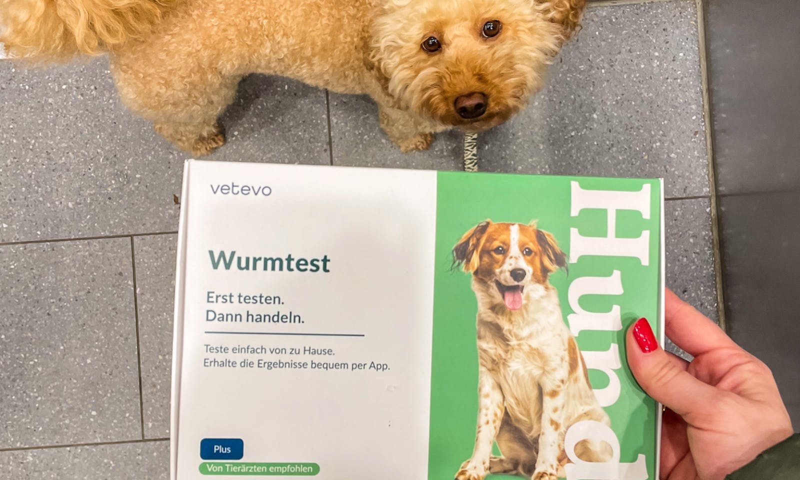 Vetevo Wurmtest Pro Giardien für Hunde