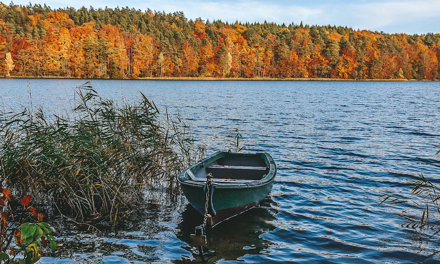Märkischer Landweg mit Hund