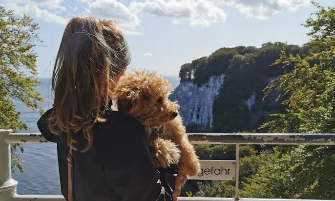 Kreidefelsen und Königsstuhl mit Hund