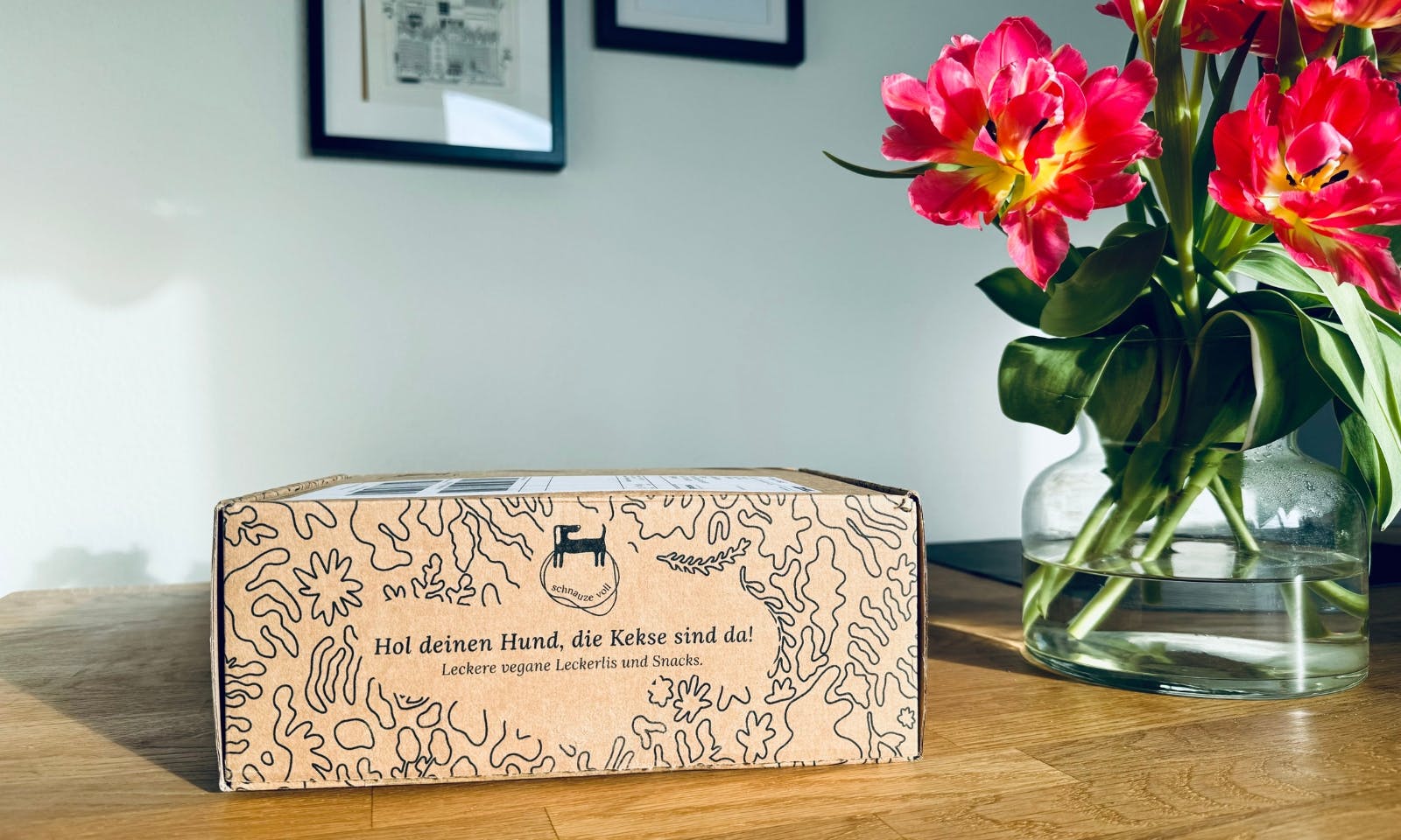 Veganes Hundefutter vom dem deutschen Start-Up schnauze voll