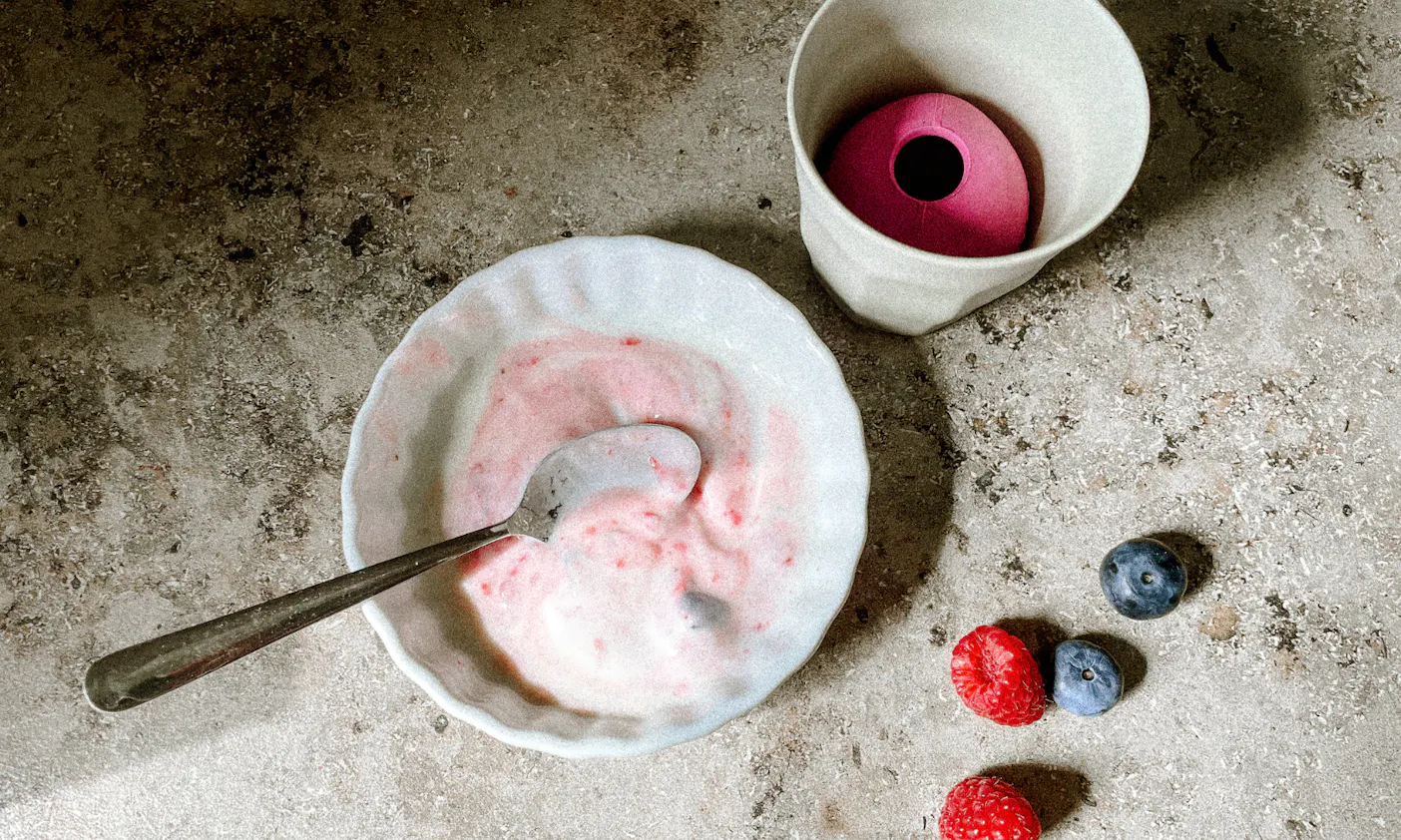 Fruchtig & vegetarisch: Frozen Joghurt für deinen Hund