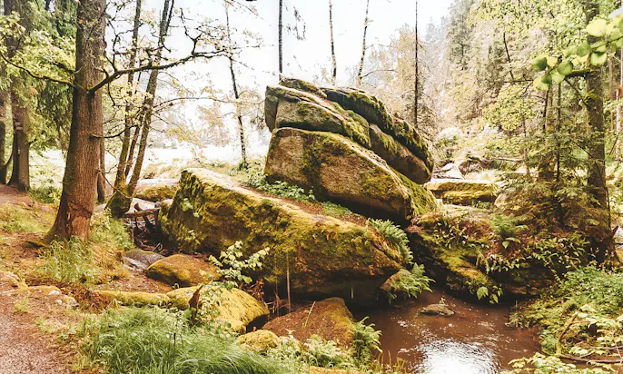 Goldsteig durch Bayern