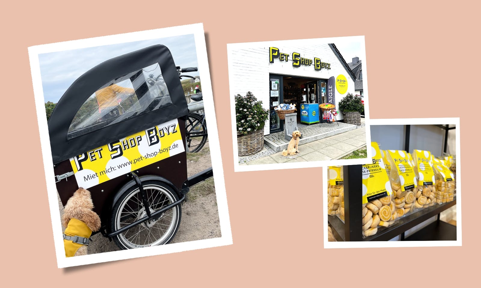 Zu Besuch bei Pet Shop Boyz auf Sylt, dem Tante-Emma-Laden für Hundefans