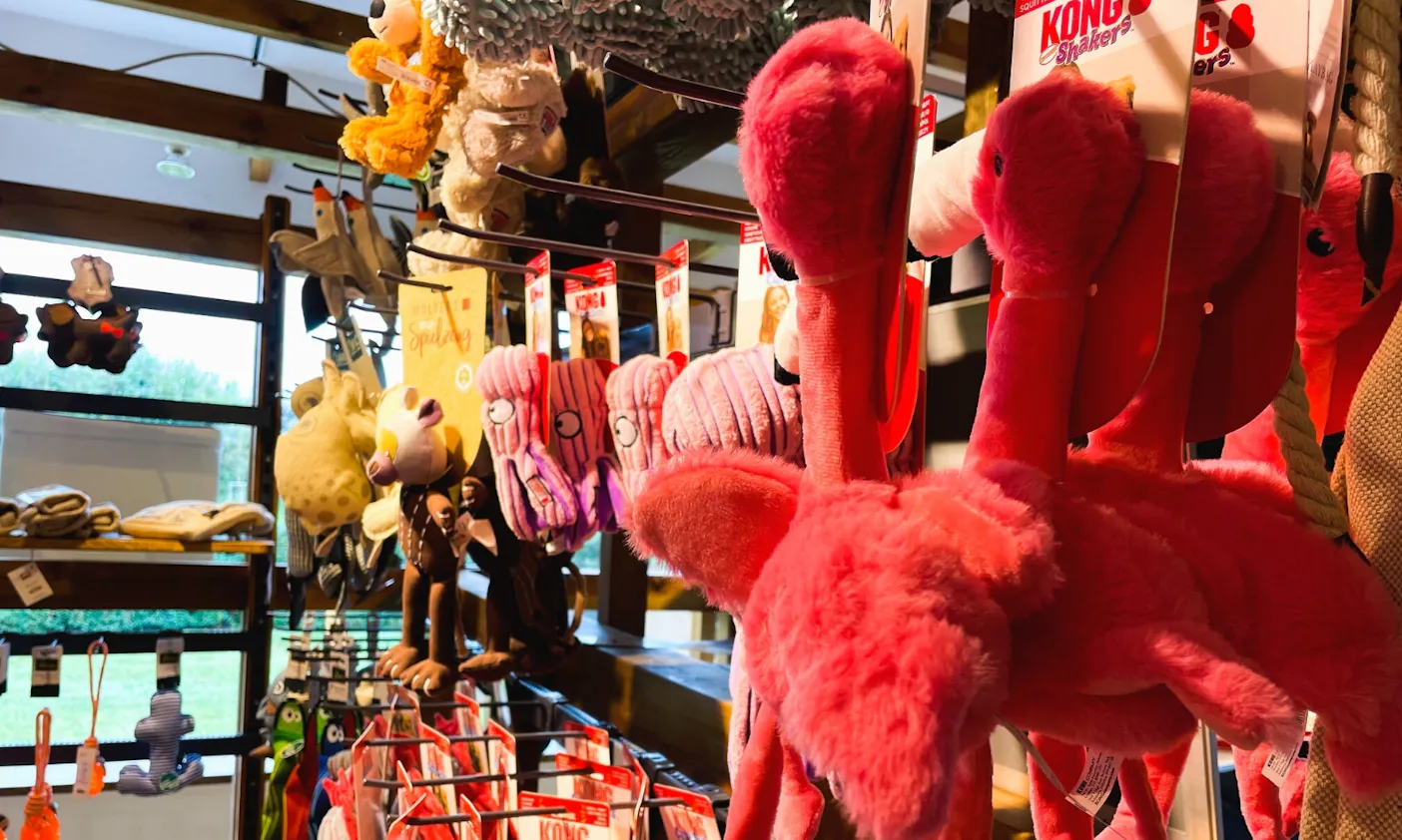 Hundespielzeug auf Sylt kaufen