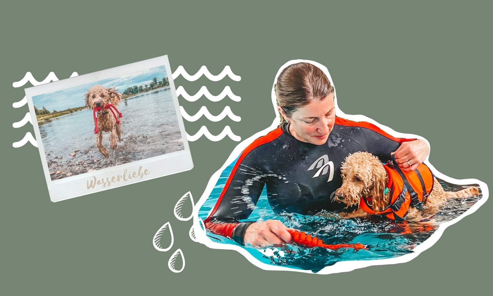Hundeschwimmen mit Susanne Siebertz