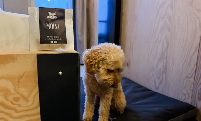 Hund von Eden Leckerlis in der Bretterbude in Büsum