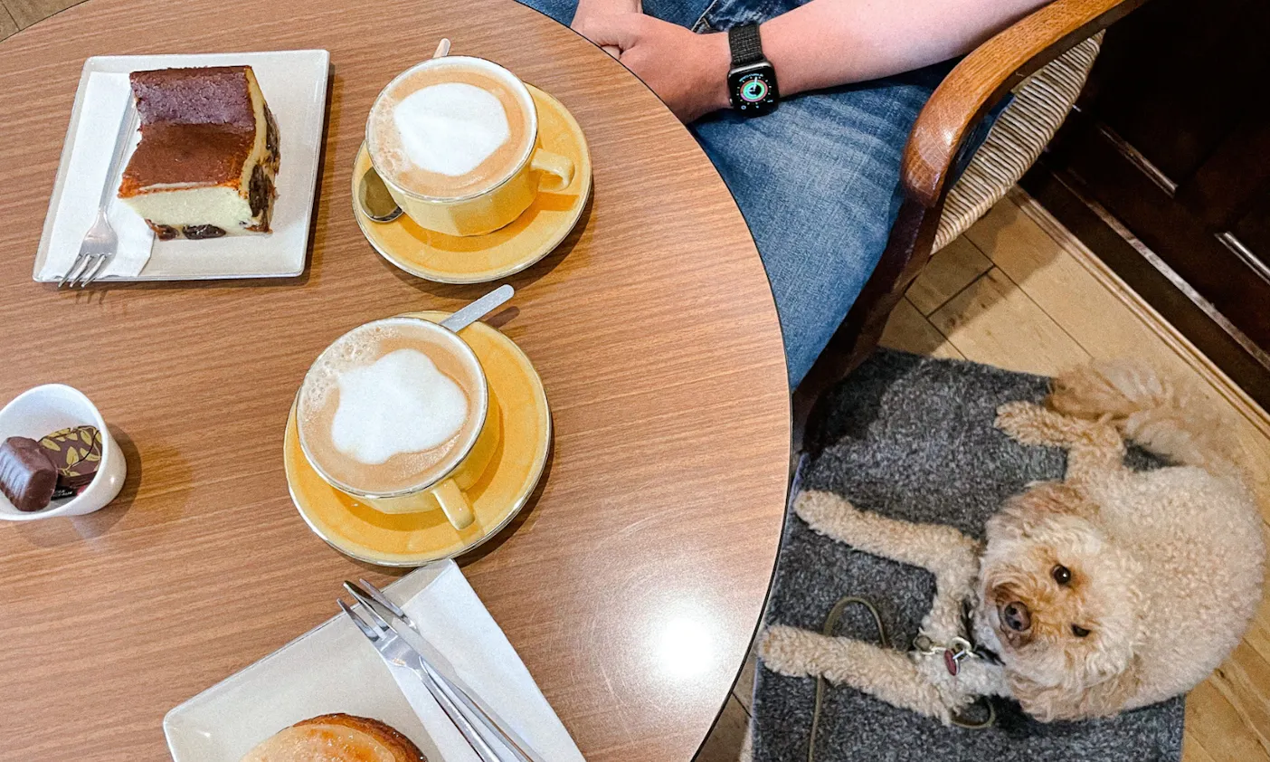 Hunde sind in der bretonischen Pâtisserie La Chaumière Perros-Guirec erlaubt