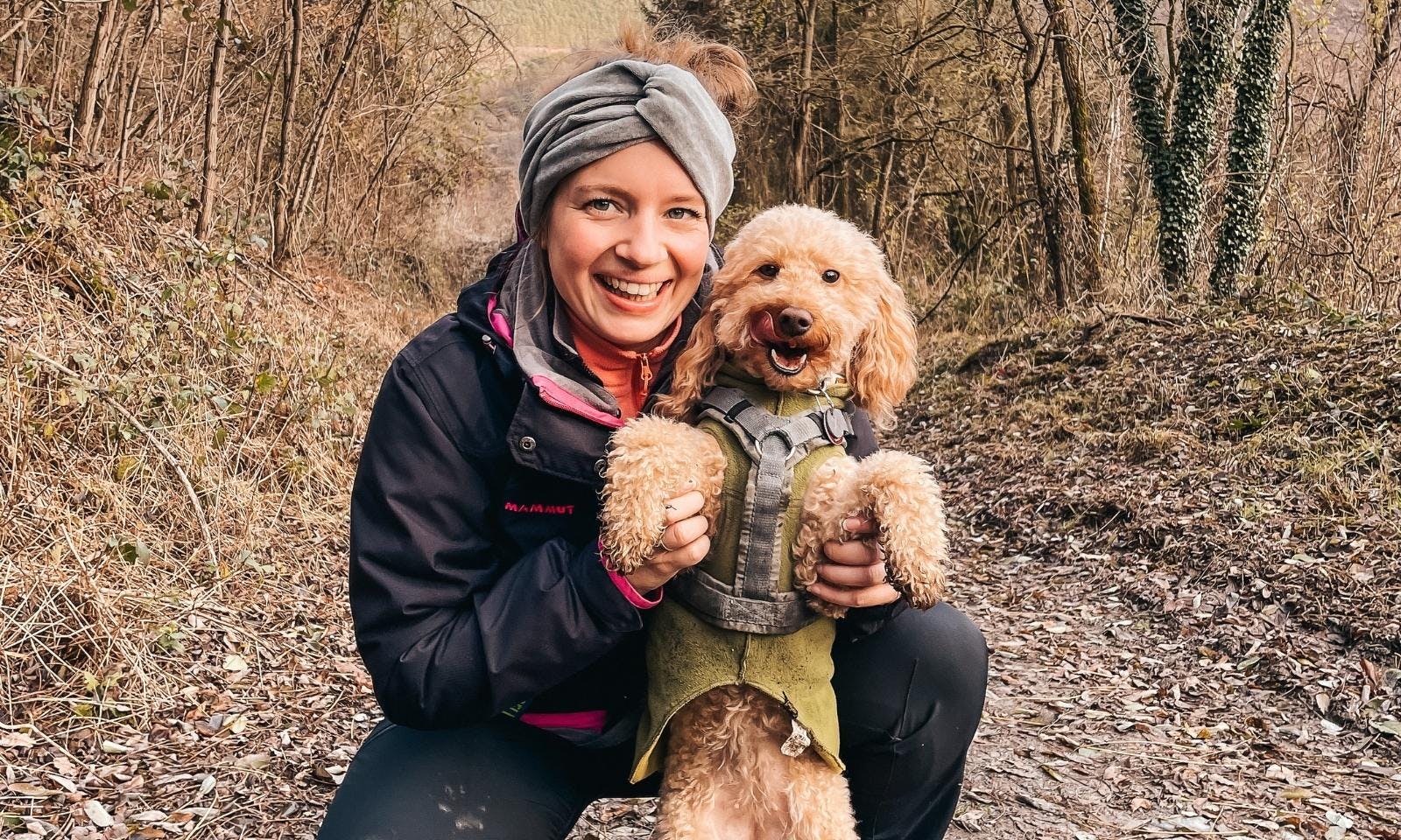 Pudel im Winter beim Wandern in der Mosel