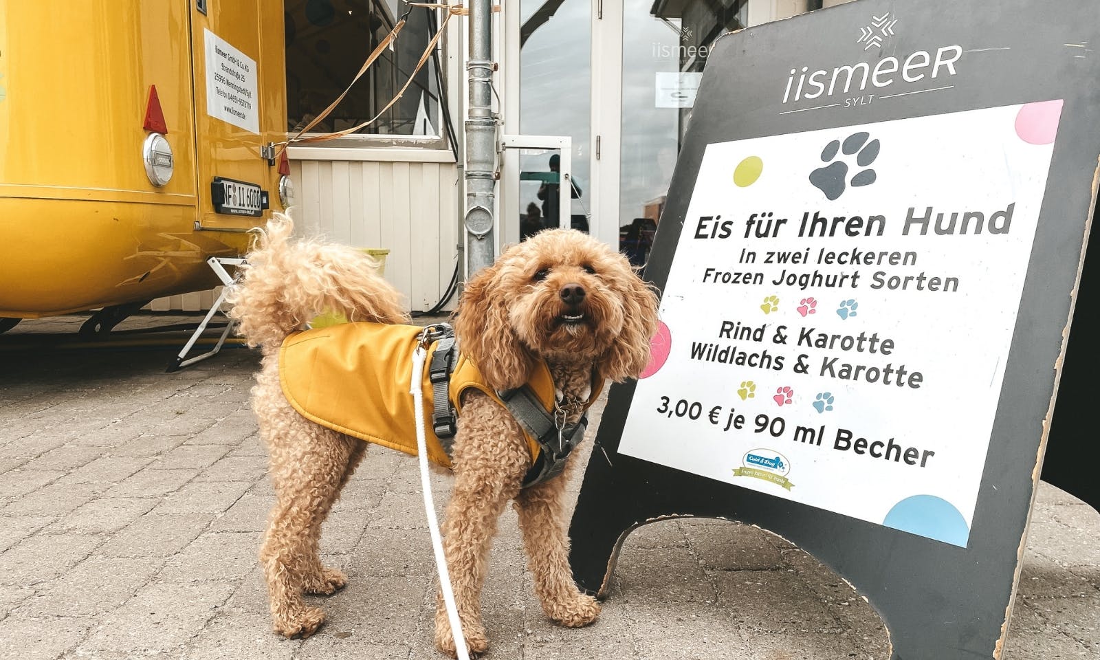 Rullesten voksen teater Hundefreundliche Restaurants und Cafés auf Sylt
