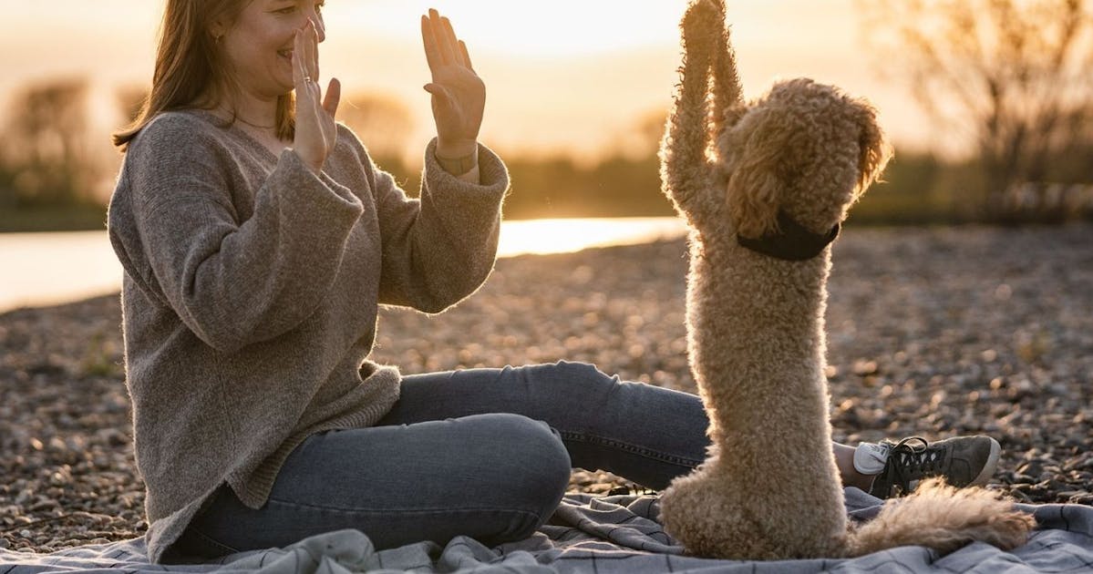 Copyright Javaminidoodle.de (c) Javaminidoodle.de